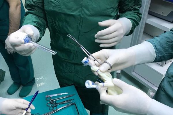'Türkiye'nin cerrahi başarısı dünya standartlarının üzerinde'
