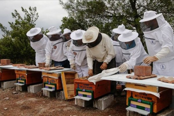 Köyün ‘şehirli kadınları’ndan bal mesaisi