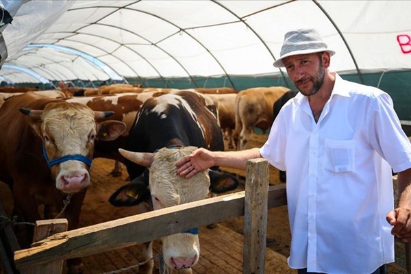 Hayvan pazarlarında Kurban Bayramı hareketliliği