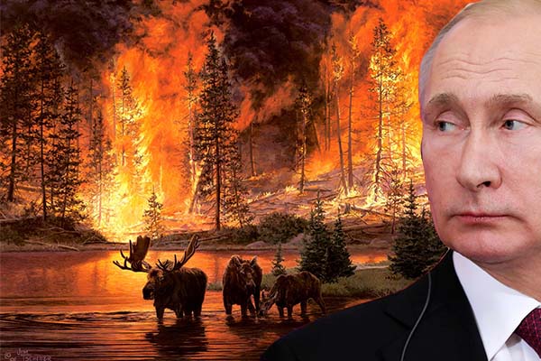 Putin, Sibirya’daki yangınların söndürülmesi için orduya talimat verdi