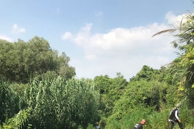 Adana'da drone destekli kenevir operasyonu