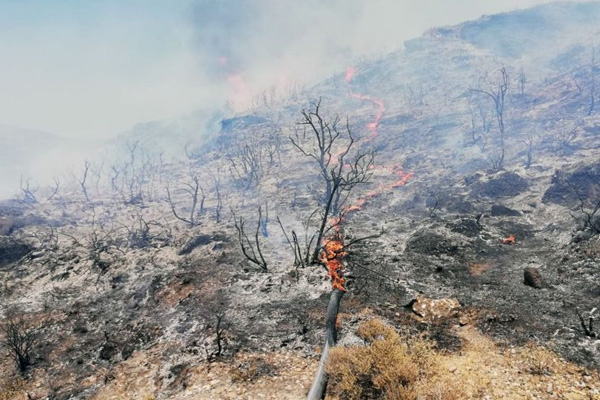 Datça’da makilik alan yandı