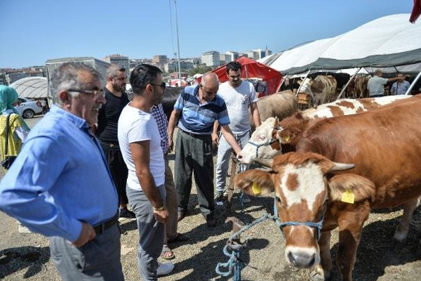 Hayvan pazarında arife günü hareketliliği