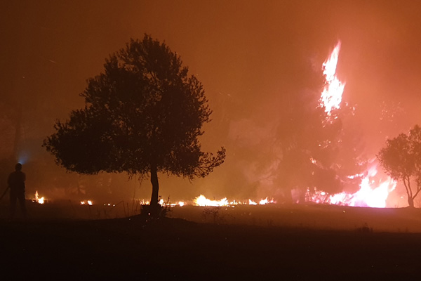 Çanakkale'de orman yangınına müdahale gece de devam etti