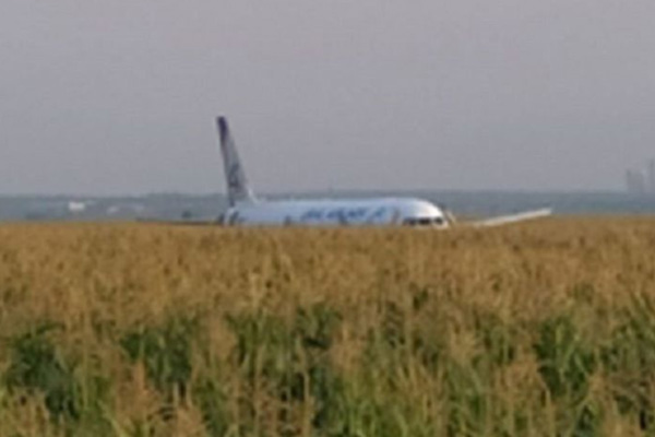 233 yolcusu bulunan uçak mısır tarlasına acil iniş yaptı