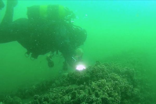 Depremin izlerini su altında görüyorlar