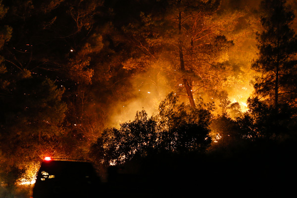 İzmir'de 500 hektar orman kül oldu
