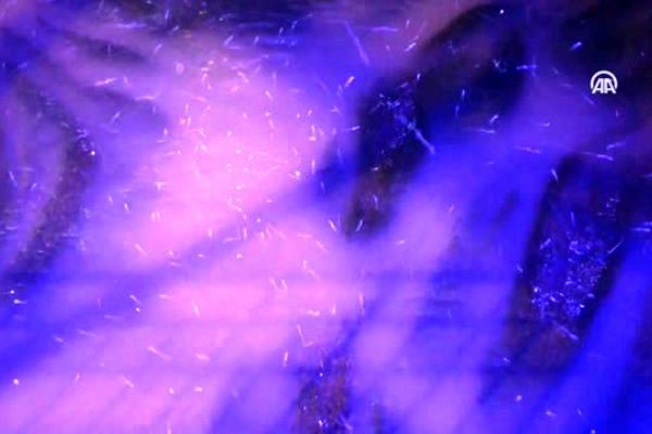 Kar yağışı değil 'bir günlükler'in ölüm uçuşu