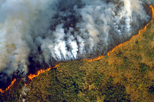 Almanya’dan Amazon yangını açıklaması