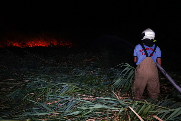 Edremit'te sazlık alanda çıkan yangın söndürüldü