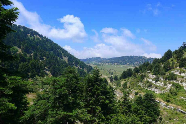 İsrail'den Lübnan ormanlarına yangın bombası atıldı