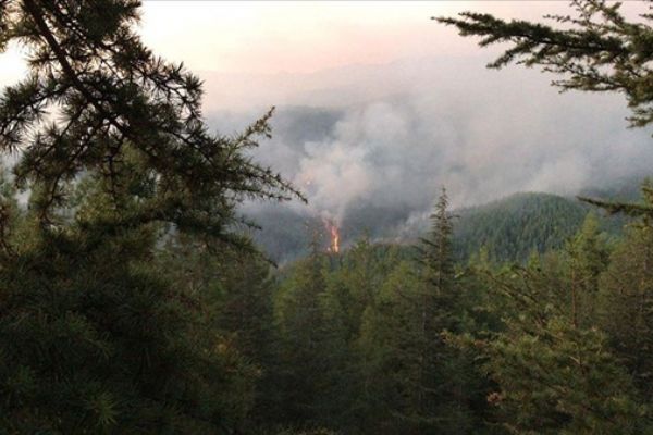 Antalya'da orman yangını