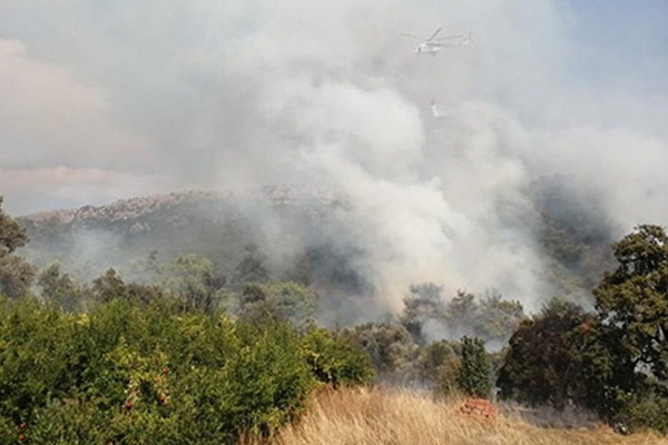 Antalya'da orman yangını