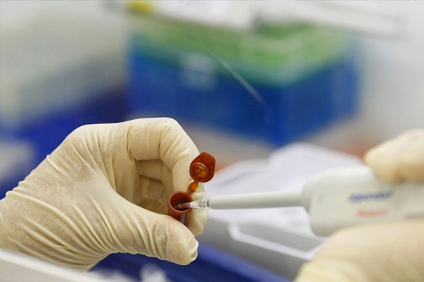 KKTC’de domuz gribine 4. kurban