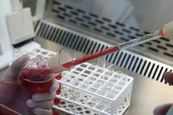 Türk bilim insanları yapay kan üretti