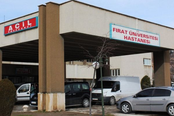 Domuz gribi yine can aldı