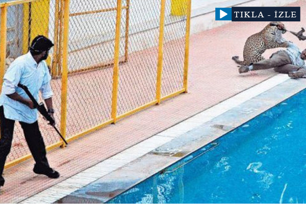 Leopar okula girdi, 6 kişi yaralandı