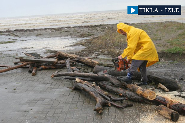 Kışlık odunlarını denizden çıkarıyorlar