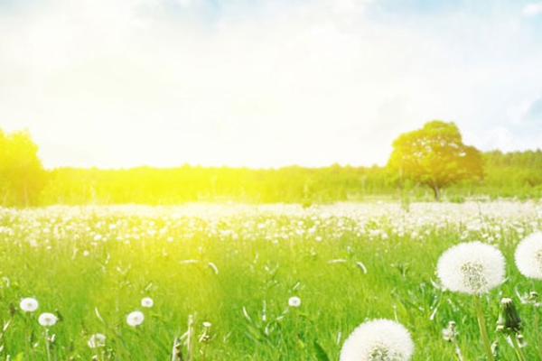 Meteoroloji'den sıcaklık uyarası