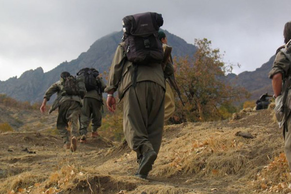 Van’da düzenlenen operasyonda 5 terörist öldürüldü