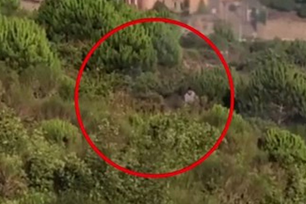 Pendik'teki orman yangınıyla ilgili PKK ile bağlantılı bir kişi gözaltında