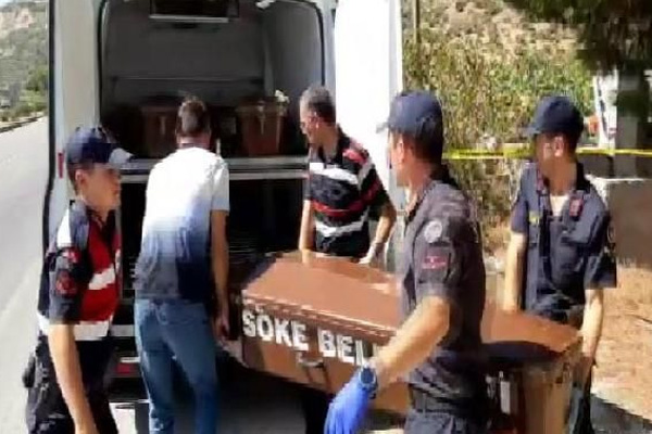 Kozalak toplarken elektrik akımına kapılıp öldü