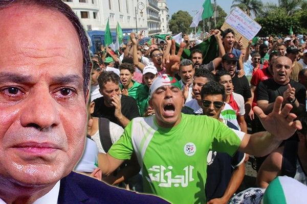 Cezayirli taraftarlarda, Sisi karşıtı tezahürat!