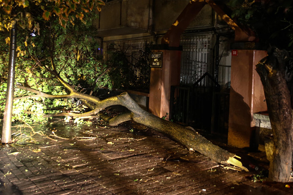 İstanbul’da fırtına ve yağış: Ağaçlar devrildi, çatılar uçtu