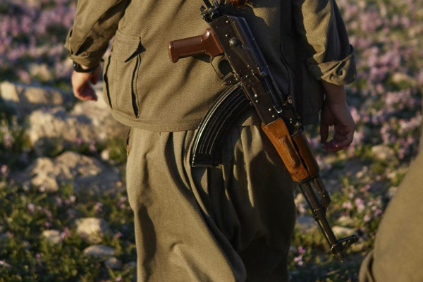 Tunceli'de 2 terörist etkisiz hale getirildi