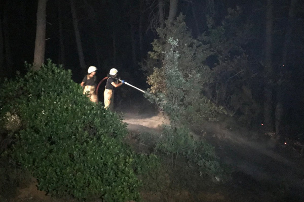İstanbul'daki orman yangınına ilişkin 3 gözaltı