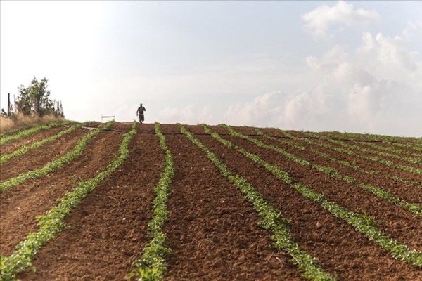 İsrail, Gazze'de tarım arazilerine zarar vermeyi sürdürüyor