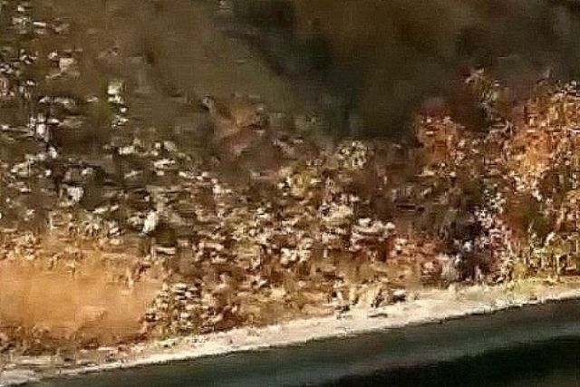 Erzincan'da köpeklerin kovaladığı kurt su kanalına düştü