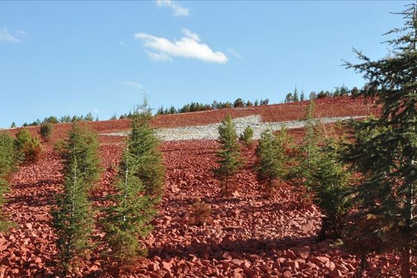 'Geleceğe Nefes seferberliğinde 13 milyonun üzerinde fidan sahiplendirildi'