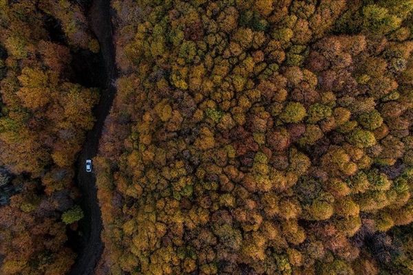 Kışın gözdesi Uludağ sonbaharda da göz kamaştırıyor