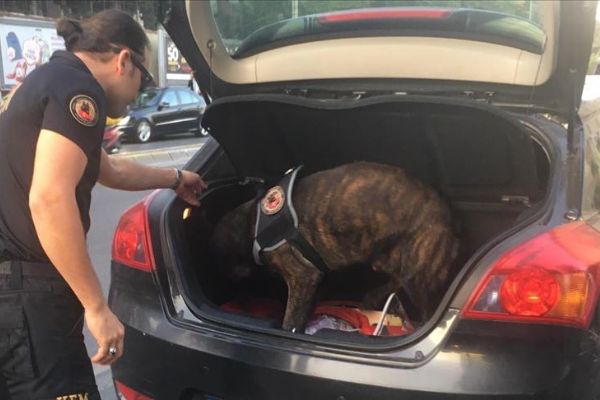 Ülke genelinde 'Güven Huzur-6' uygulaması gerçekleştirildi