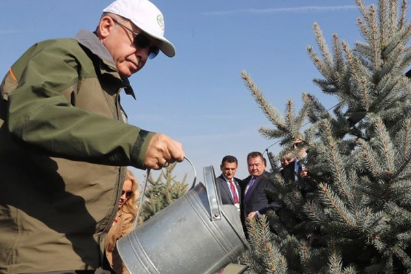 Milli Ağaçlandırma Günü kutlandı: Erdoğan'dan Gezi Parkı olaylarına gönderme