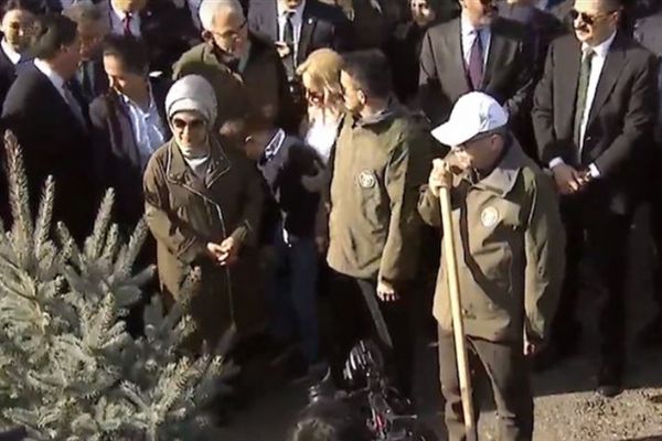 Cumhurbaşkanı Erdoğan, fidan dikti