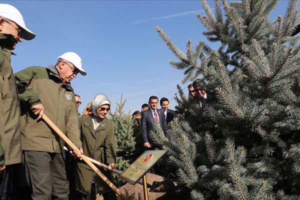 'Orman varlığımızı 17 yılda 22,6 milyon hektara çıkardık'