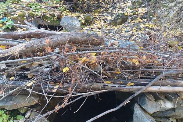 'Kıran-5' operasyonunda 20 sığınak imha edildi