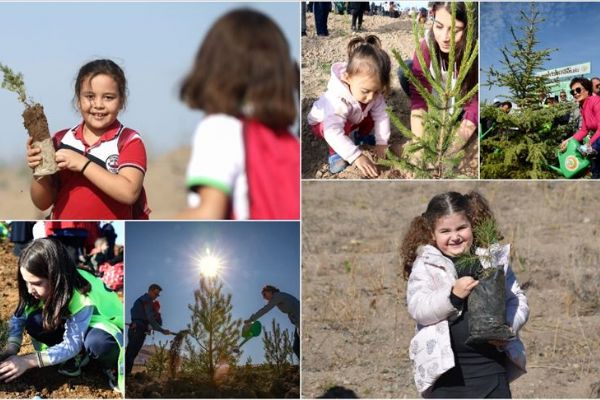 81 ilde 11 milyon fidan toprakla buluştu