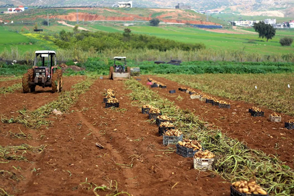 Ürdün: Geri aldığımız bölgede İsrailli çiftçiler hasat yapabilecek