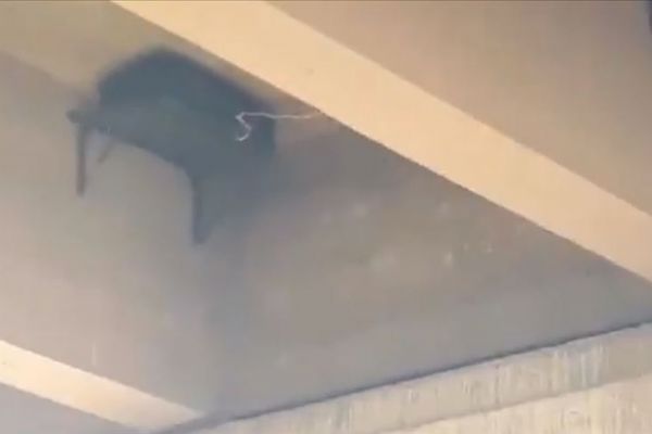 Barış Pınarı Harekatı bölgesinde teröristlerin köprüye tuzakladığı EYP imha edildi