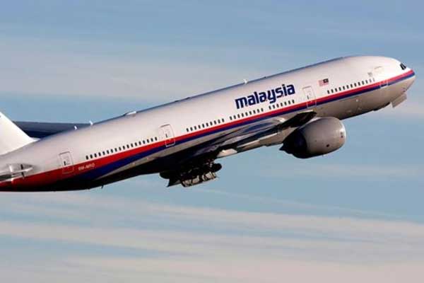 Ukrayna'da düşürülen Malezya uçağı ile ilgili yeni tanık çağrısı