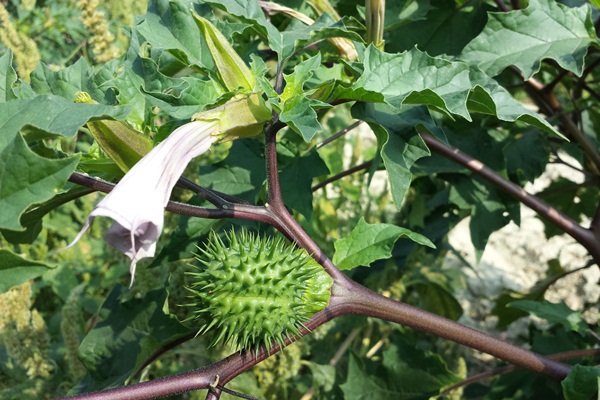 Uzmanlar uyardı: Zehirliyor