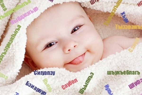 Çerkes toplumuna anadil çağrısı