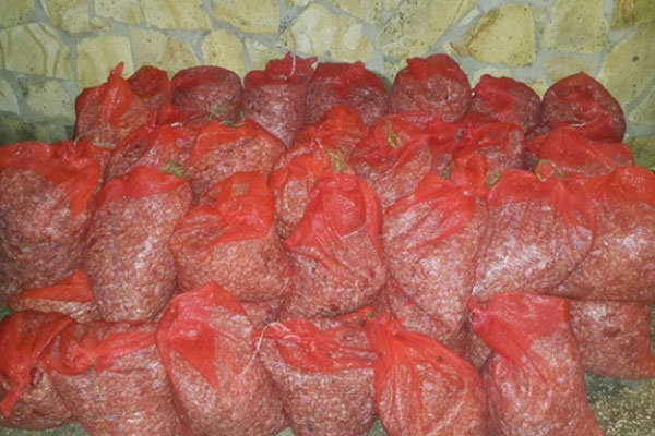 700 kilo midye ele geçirildi