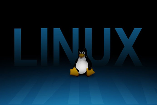 Linux Mint'i hacklendi