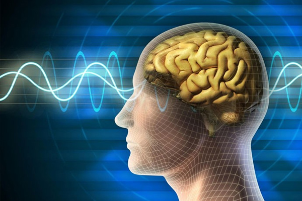 Bilgisayardan insan beynine bilgi aktarılabilecek