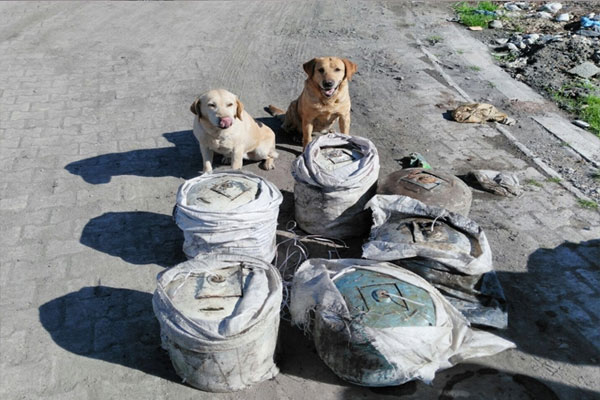 Askerin dikkati faciayı önledi