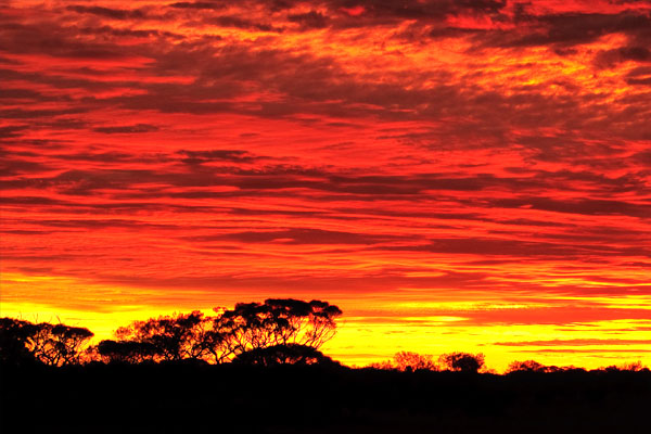 Son 80 yılın en sıcak yılı